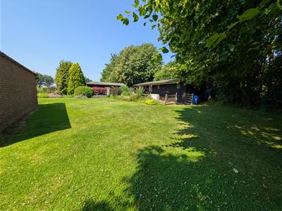 Picture 21